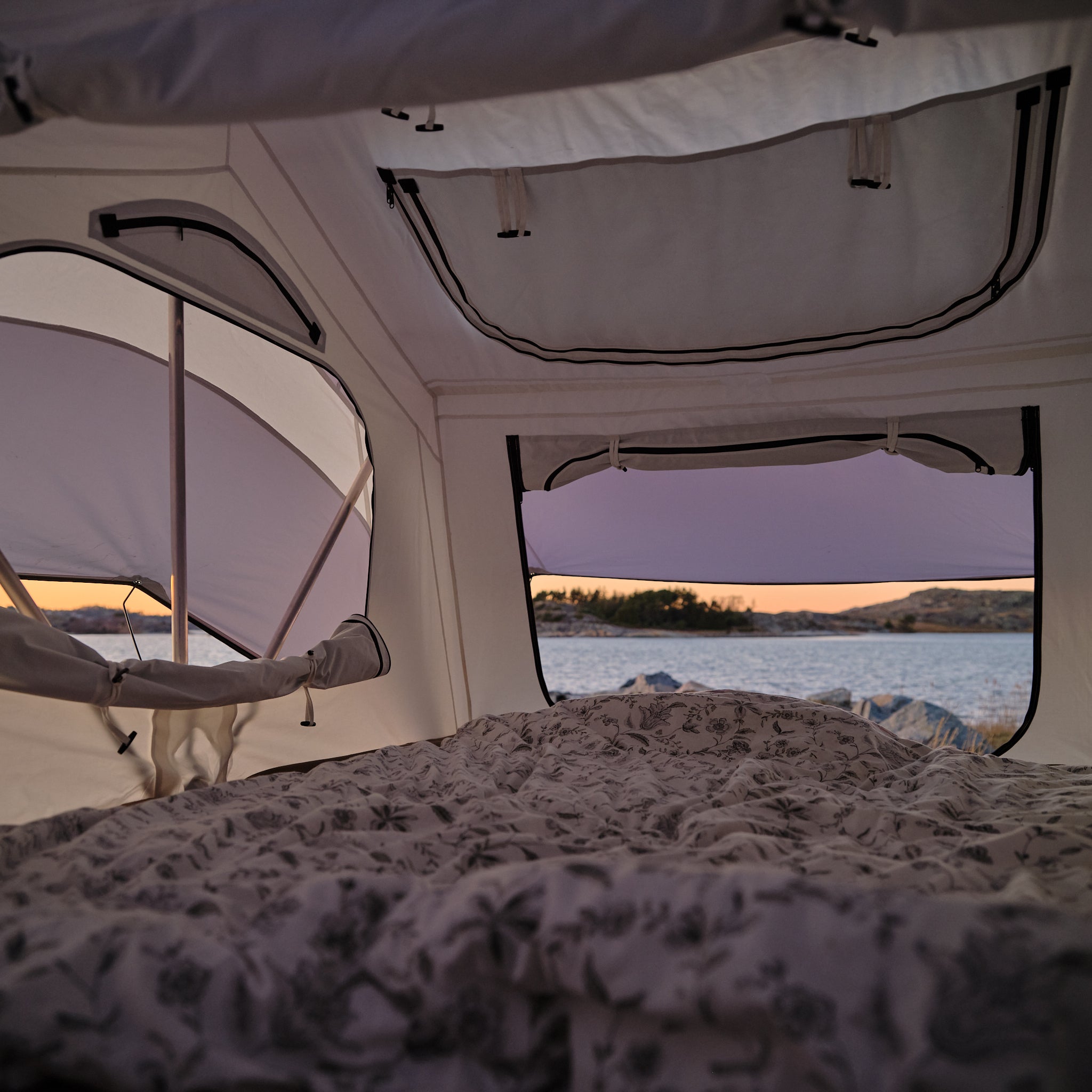 Expedition - Artic White