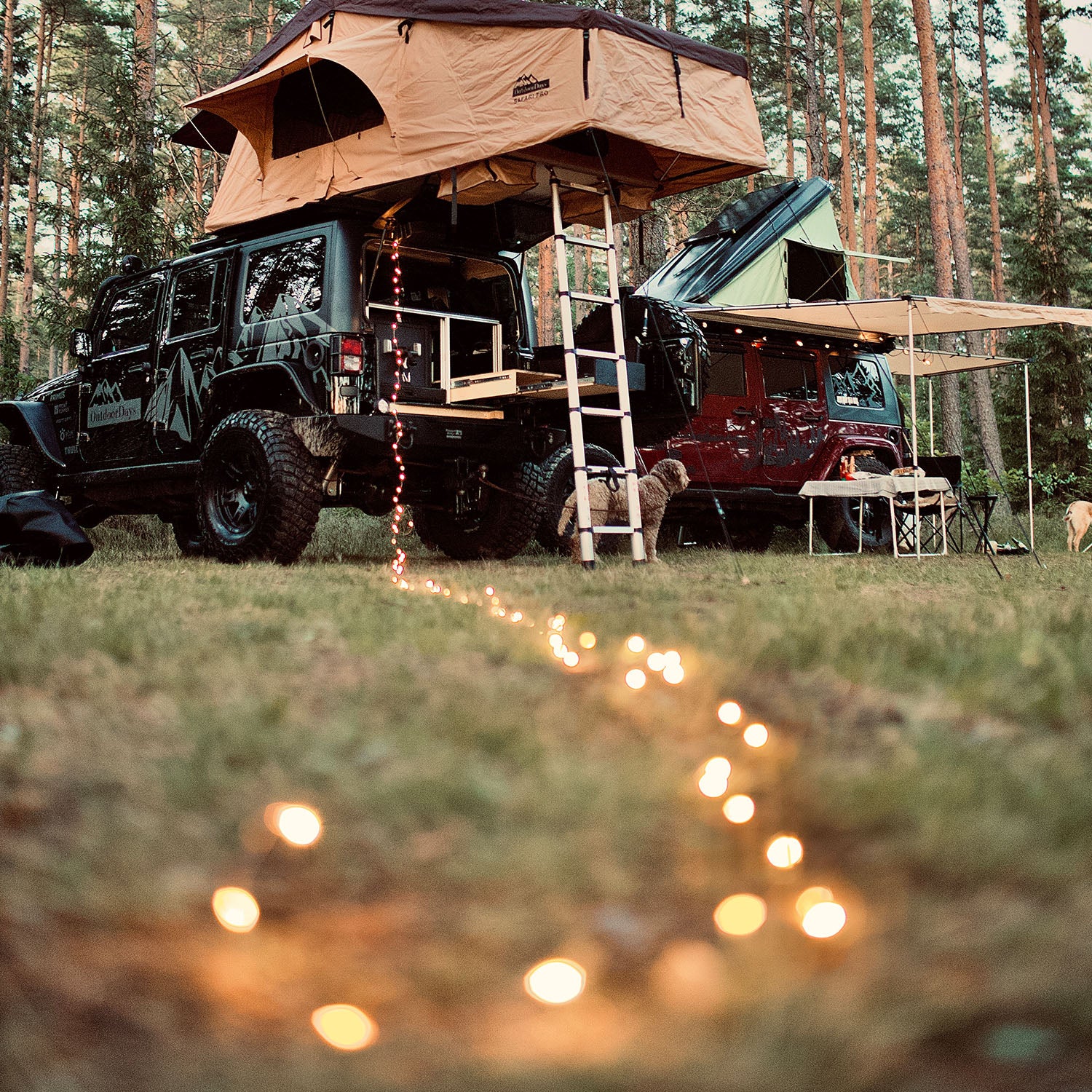 Stardust - USB Led slinga